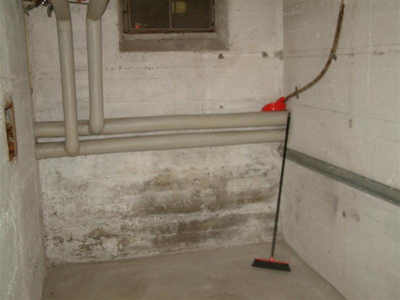 Kauf17 (Medium).jpg